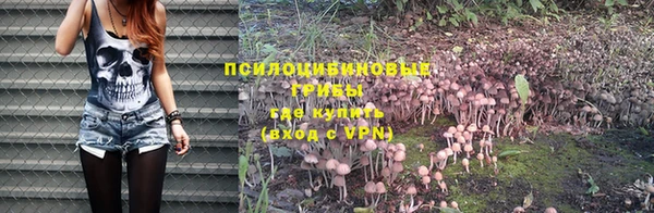 кокс Снежногорск