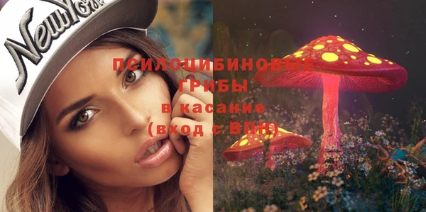 кокс Снежногорск