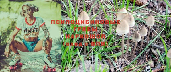 стафф Слюдянка