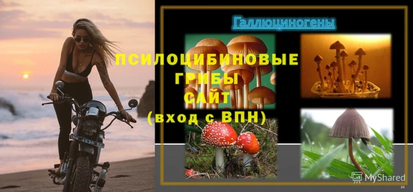 кокс Снежногорск