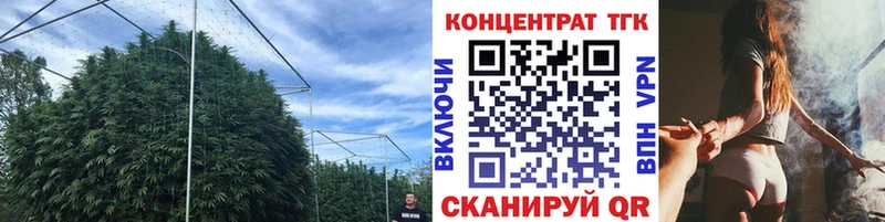 darknet телеграм Разумное ТГК вейп с тгк