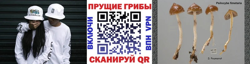 Псилоцибиновые грибы GOLDEN TEACHER  Разумное 